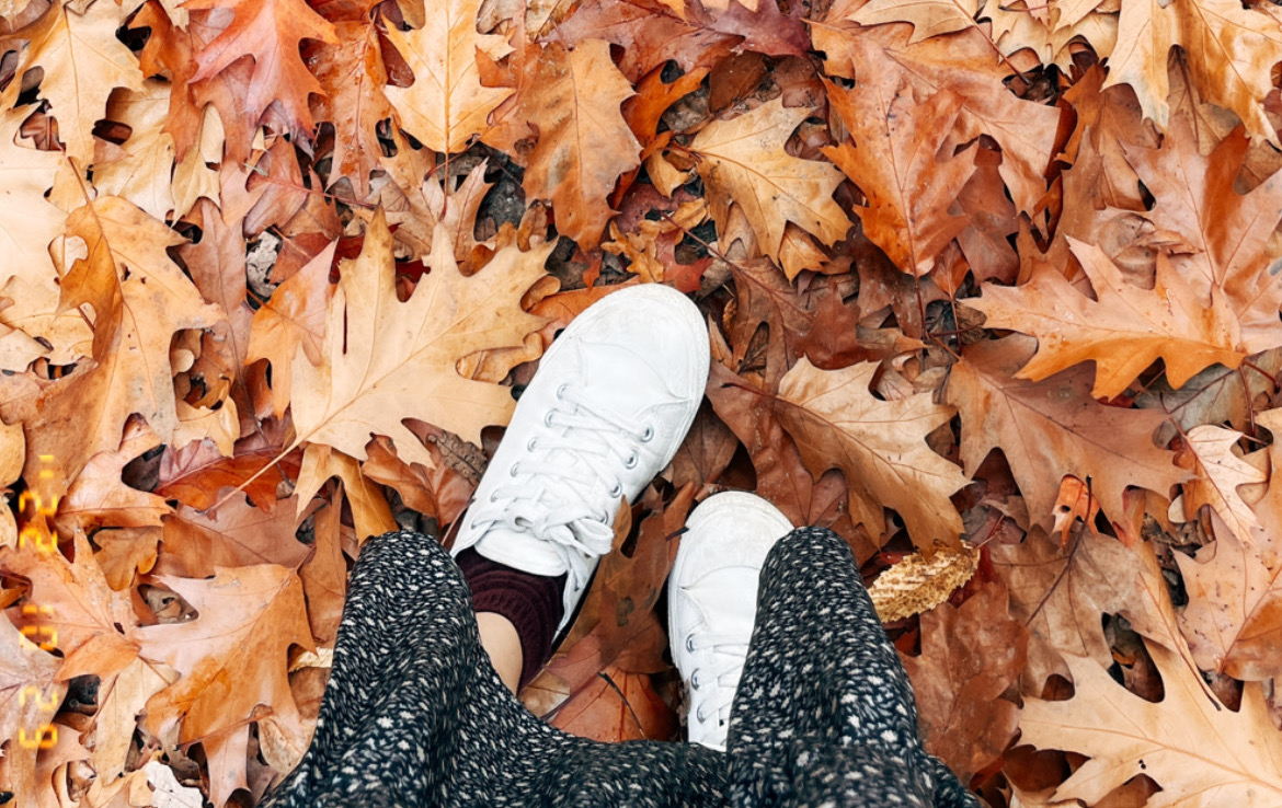 荷蘭秋日 —— 學會在雨中騎腳踏車