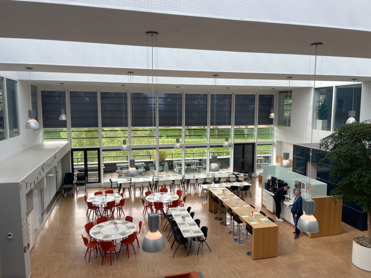 我在荷蘭成為商業分析師 | Business Analyst&nbsp;上工半年紀念